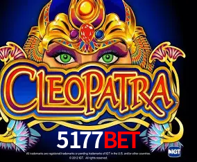 APP oficial da 5177bet para mobile